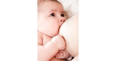 Lactation Lactation