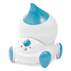 Humidifier ionizer