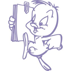 Decorative Vinyl Baby Tweety